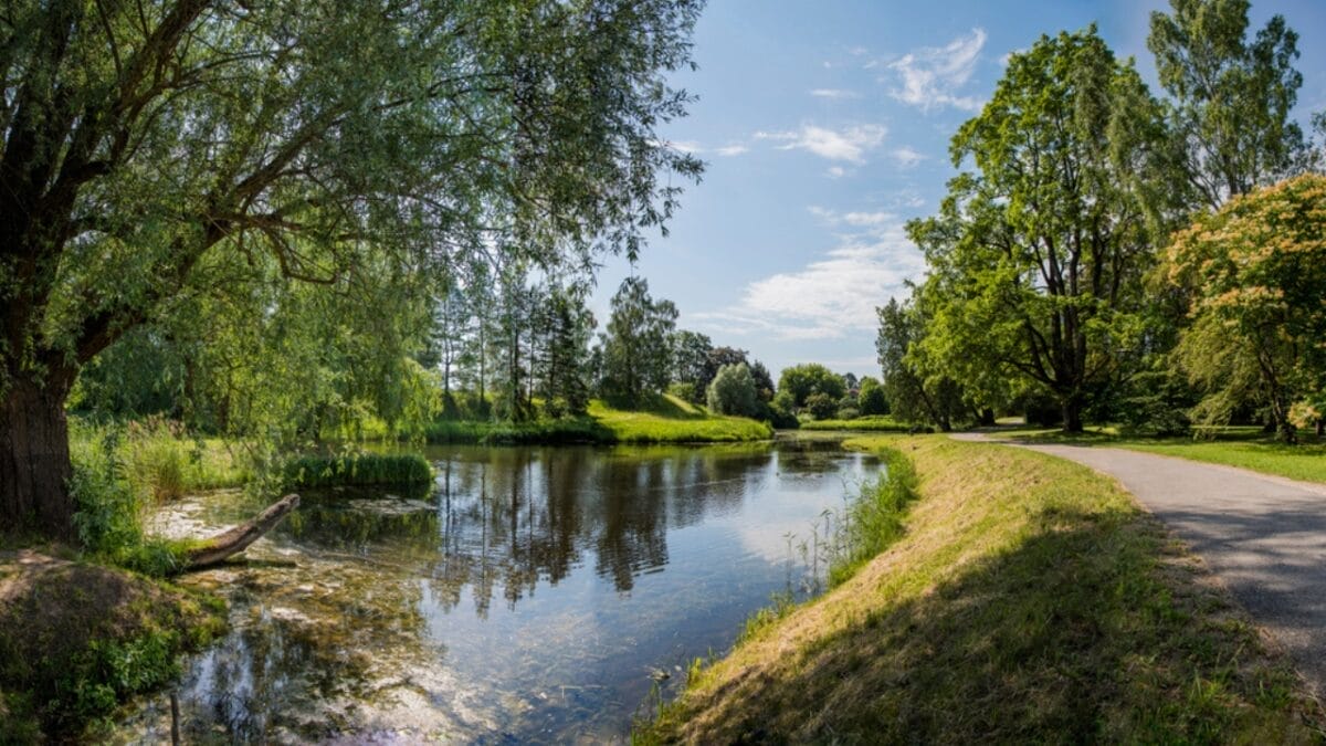 20 U.S. Dog-Friendly Attractions: Pup-Approved Adventures 13 20 U.S. Dog-Friendly Attractions: Pup-Approved Adventures - laguna lake park dp278846088