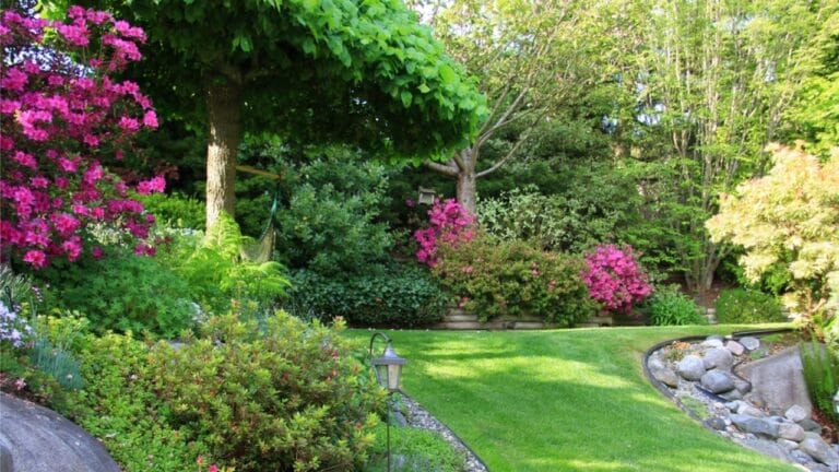 Skip the Fence: 18 Fast-Growing Shrubs for Instant Privacy 3 Skip the Fence: 18 Fast-Growing Shrubs for Instant Privacy - landscape garden ss27332227