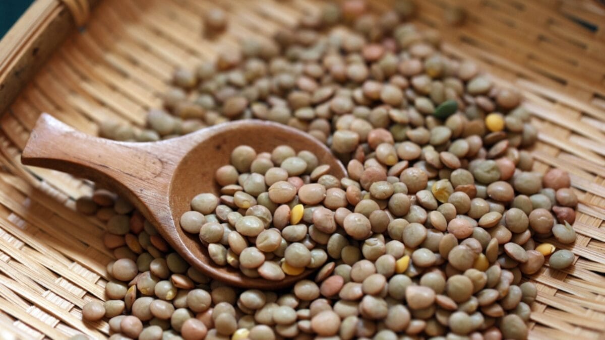 45% of Older Adults Have Age-Related Muscle Loss: 17 High-Protein Plants You Can Grow in Your Garden 10 45% of Older Adults Have Age-Related Muscle Loss: 17 High-Protein Plants You Can Grow in Your Garden - lentils dp672436700