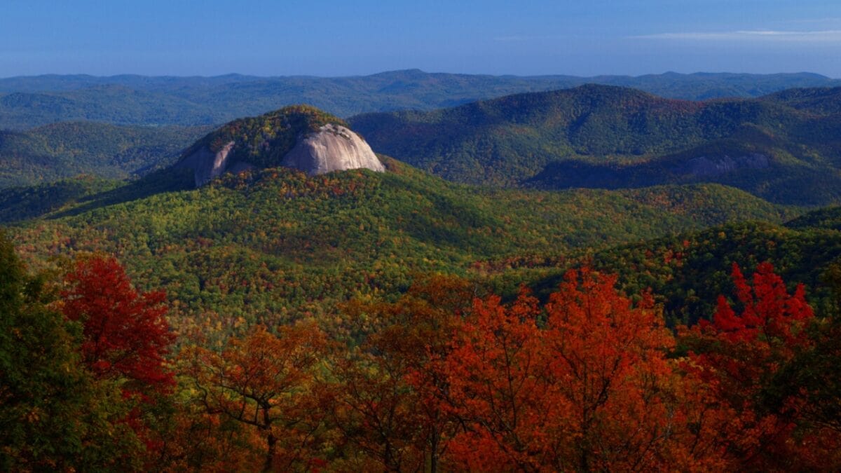 35 Dog Walking Trails That Prove USA Is a Dog's Paradise 18 35 Dog Walking Trails That Prove USA Is a Dog's Paradise - looking glass rock trail ss38532607