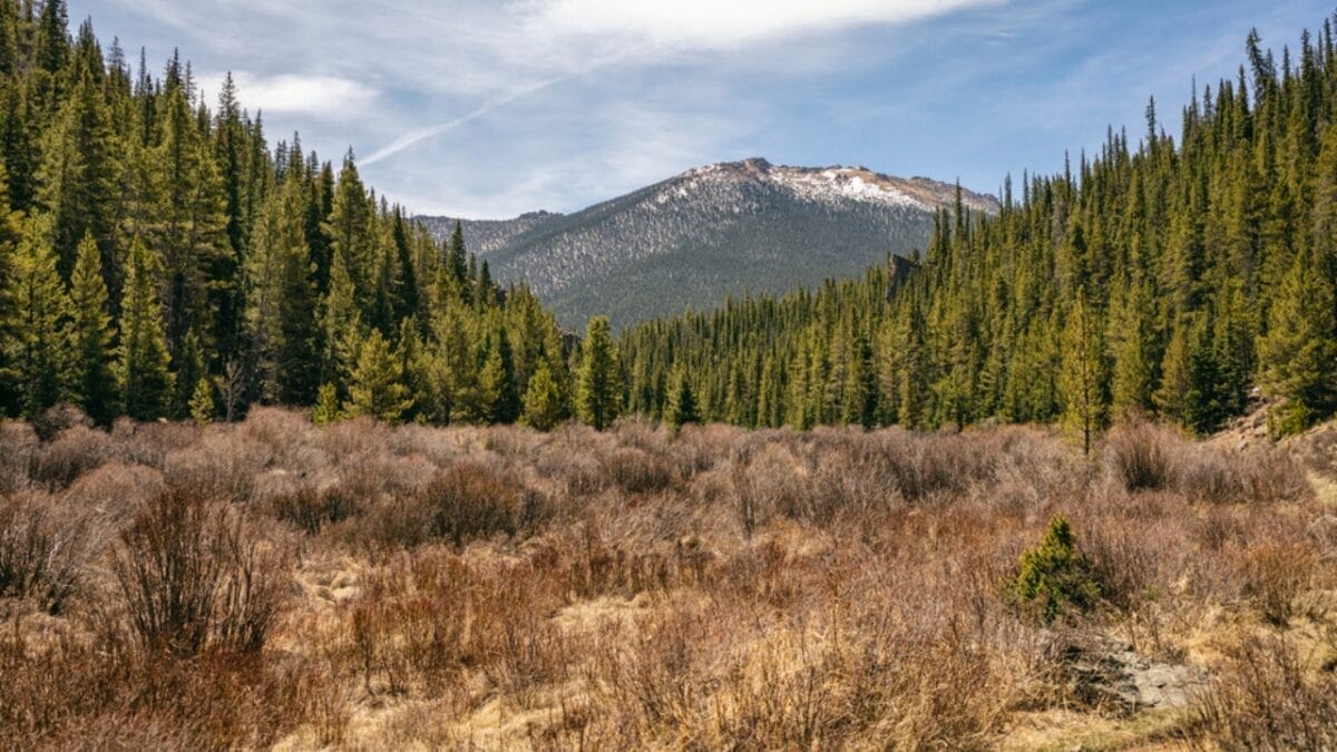 The Most Isolated, Off-the-Grid Spots in Each U.S. State You’ll Want to Visit 7 The Most Isolated, Off-the-Grid Spots in Each U.S. State You’ll Want to Visit - lost creek wilderness ss1936449826