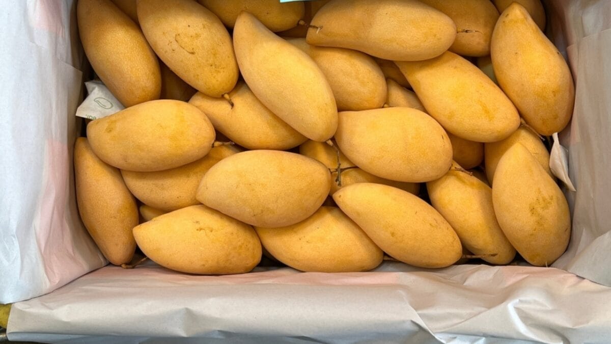 EWG’s 2024 Fruit & Veggie Dirty Dozen (Highest in Pesticides) & Clean 15 Lists - mango ss2428528231