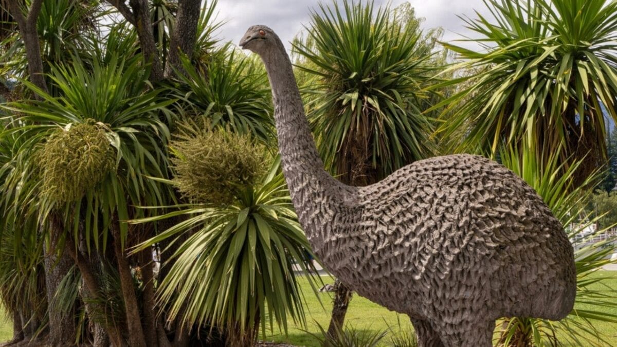 The Lazarus Effect: Could These 15 Extinct Creatures Walk the Earth Again? 14 The Lazarus Effect: Could These 15 Extinct Creatures Walk the Earth Again? - moa ss2442152361