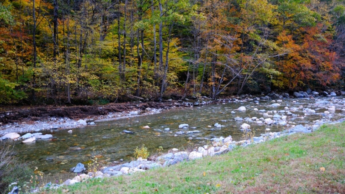 The Most Isolated, Off-the-Grid Spots in Each U.S. State You’ll Want to Visit 8 The Most Isolated, Off-the-Grid Spots in Each U.S. State You’ll Want to Visit - mohawk state forest ss1259227825