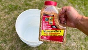 This Easy, Low-Cost Bucket Trap Method Obliterates Mosquitoes 1 This Easy, Low-Cost Bucket Trap Method Obliterates Mosquitoes - mosquito repellent bucket method