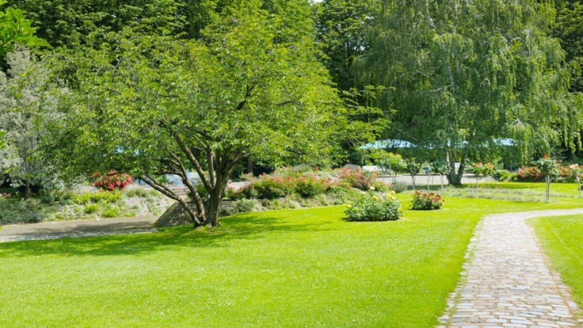 Say Goodbye to Garden Chores with These 20 Maintenance-Free Front Yard Ideas 15 Say Goodbye to Garden Chores with These 20 Maintenance-Free Front Yard Ideas - moss carpet garden ss220160788