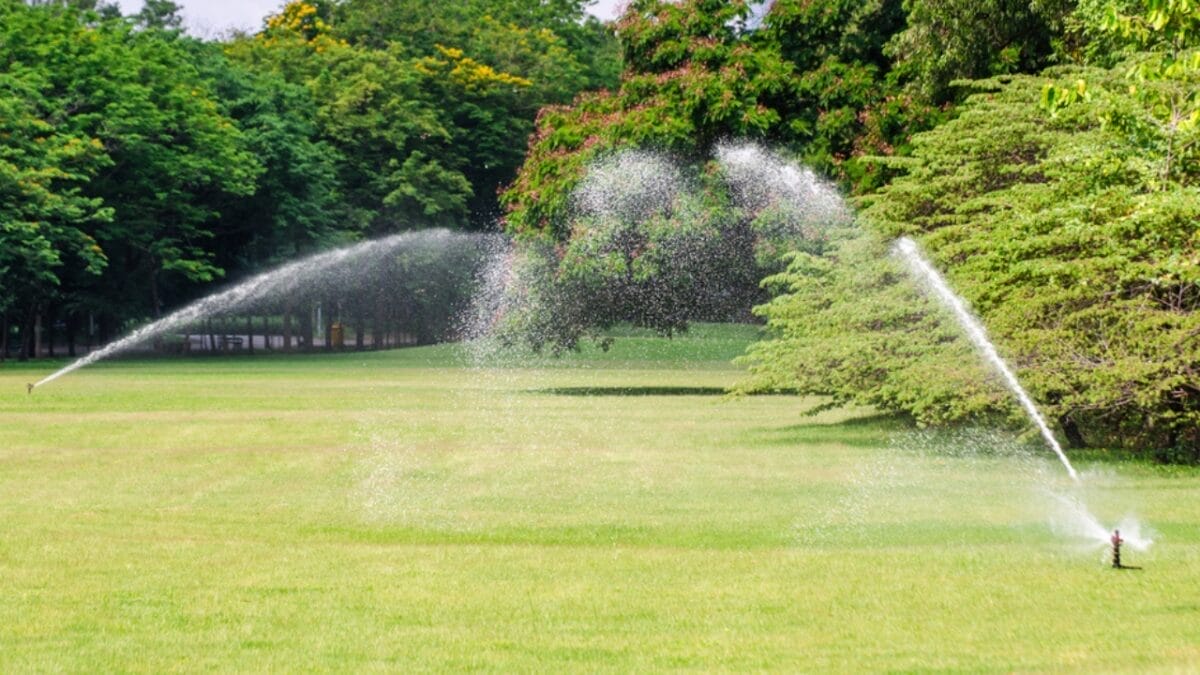 Deer-Proof Your Garden with These 11 Trusted Techniques 6 Deer-Proof Your Garden with These 11 Trusted Techniques - motion sprinkler garden dp75916213