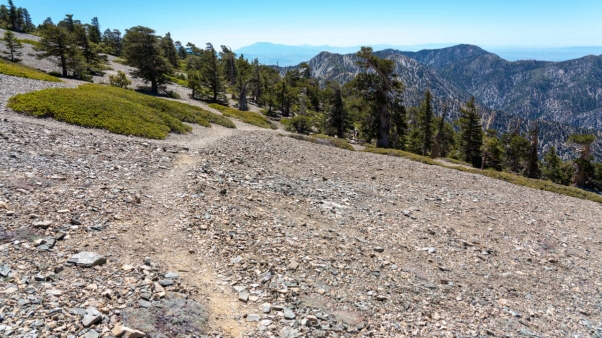 35 Dog Walking Trails That Prove USA Is a Dog's Paradise 8 35 Dog Walking Trails That Prove USA Is a Dog's Paradise - mount baldy loop trail ss1770214088