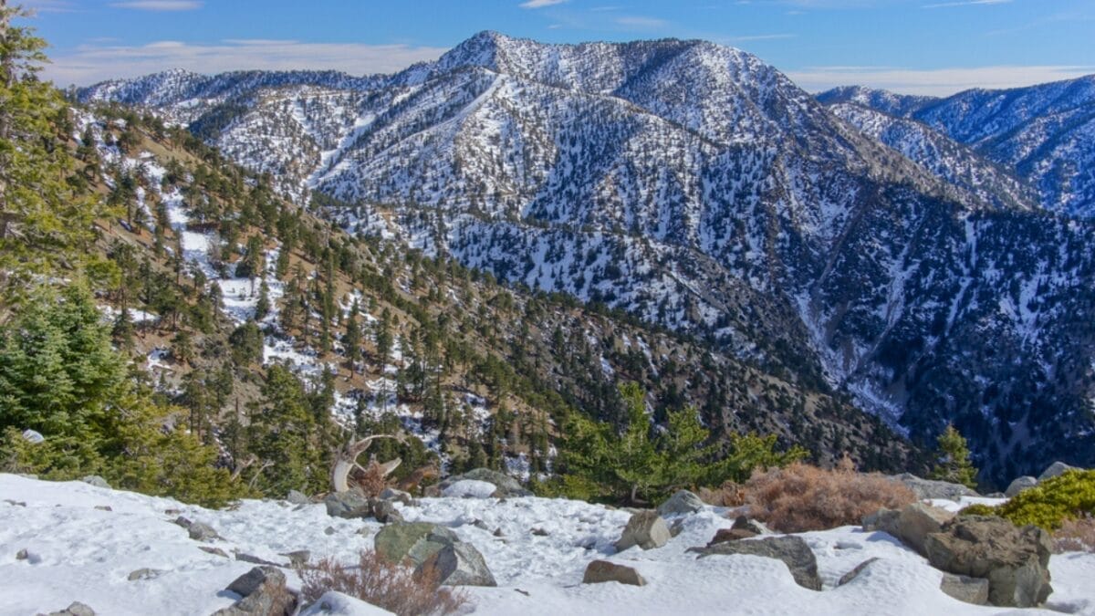 35 Dog Walking Trails That Prove USA Is a Dog's Paradise 7 35 Dog Walking Trails That Prove USA Is a Dog's Paradise - mount san antonio ss1787878751