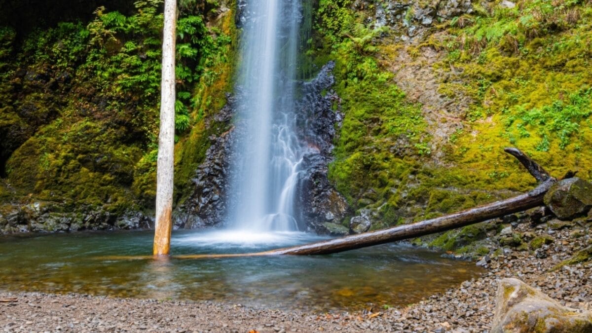 35 Dog Walking Trails That Prove USA Is a Dog's Paradise 31 35 Dog Walking Trails That Prove USA Is a Dog's Paradise - multnomah falls loop ss2384832733
