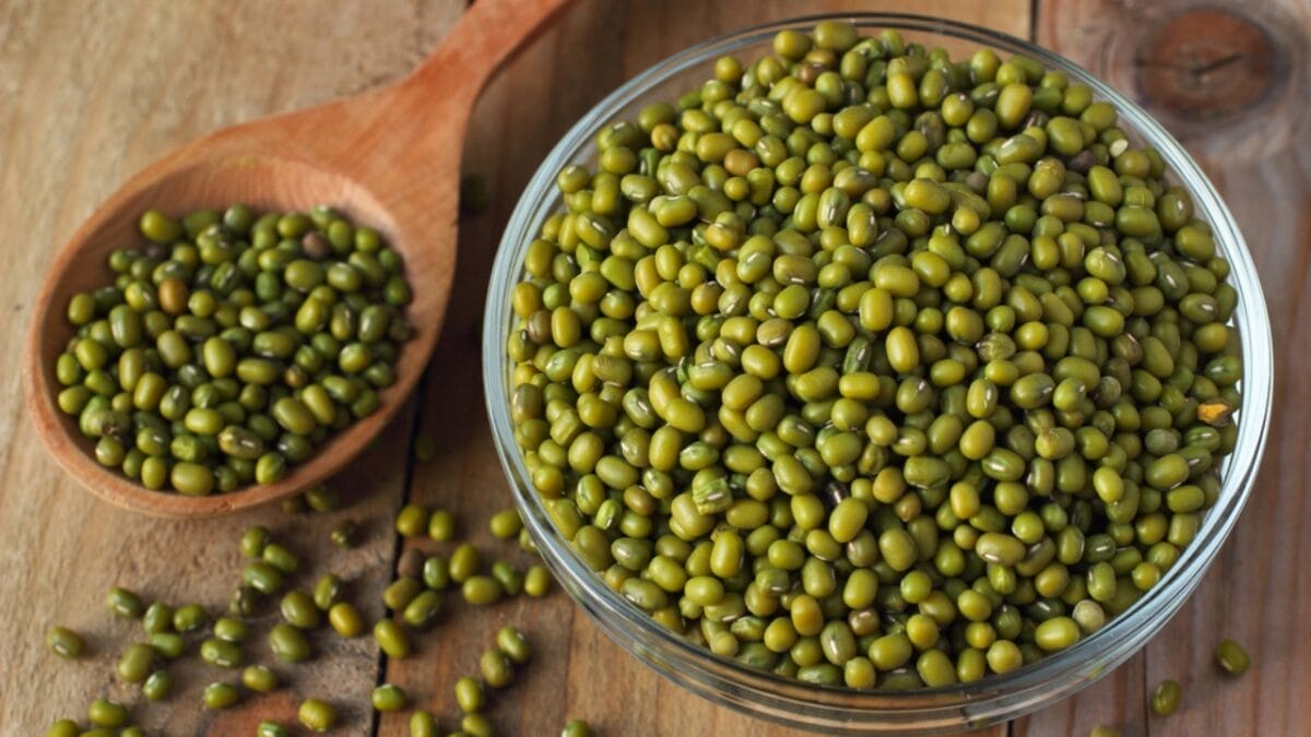 45% of Older Adults Have Age-Related Muscle Loss: 17 High-Protein Plants You Can Grow in Your Garden 18 45% of Older Adults Have Age-Related Muscle Loss: 17 High-Protein Plants You Can Grow in Your Garden - mung beans dp40873909