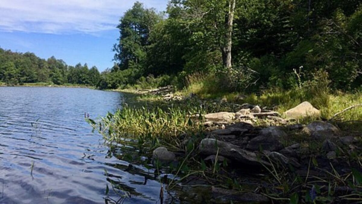 The Most Isolated, Off-the-Grid Spots in Each U.S. State You’ll Want to Visit 22 The Most Isolated, Off-the-Grid Spots in Each U.S. State You’ll Want to Visit - october mountain state forest wc