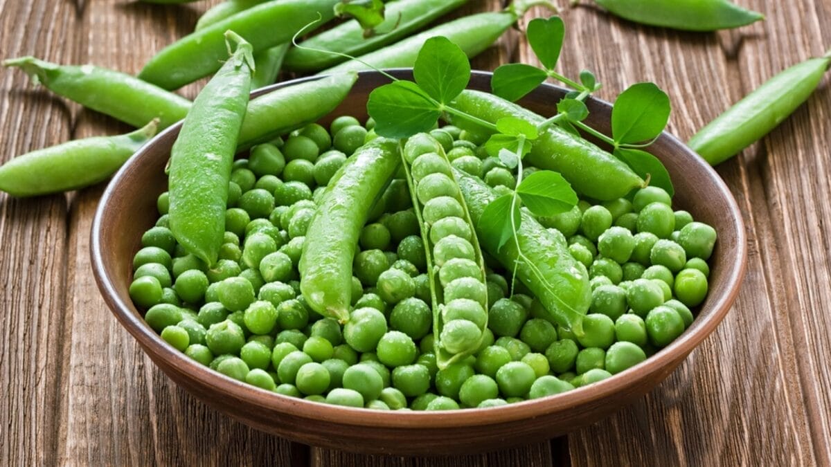 45% of Older Adults Have Age-Related Muscle Loss: 17 High-Protein Plants You Can Grow in Your Garden 3 45% of Older Adults Have Age-Related Muscle Loss: 17 High-Protein Plants You Can Grow in Your Garden - peas dp83154438