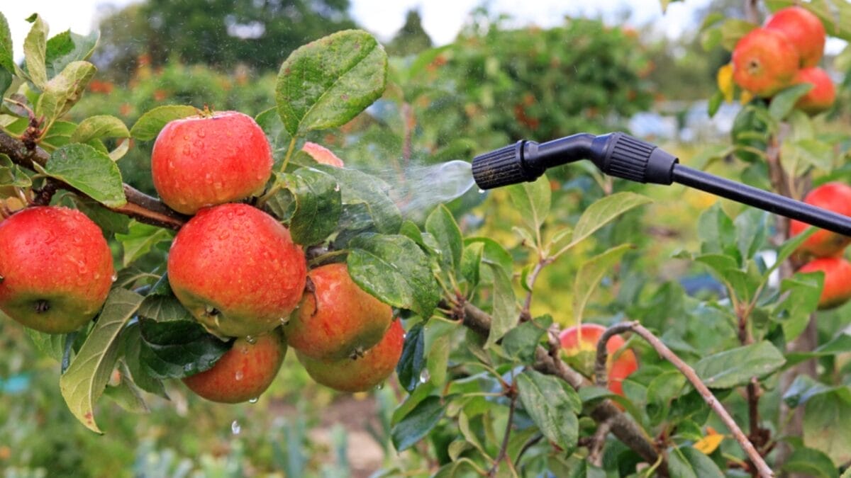 Washing Produce Isn't Enough to Remove Pesticides, Study Finds — Here's a Better Solution 2 Washing Produce Isn't Enough to Remove Pesticides, Study Finds — Here's a Better Solution - pesticide ss1493386868