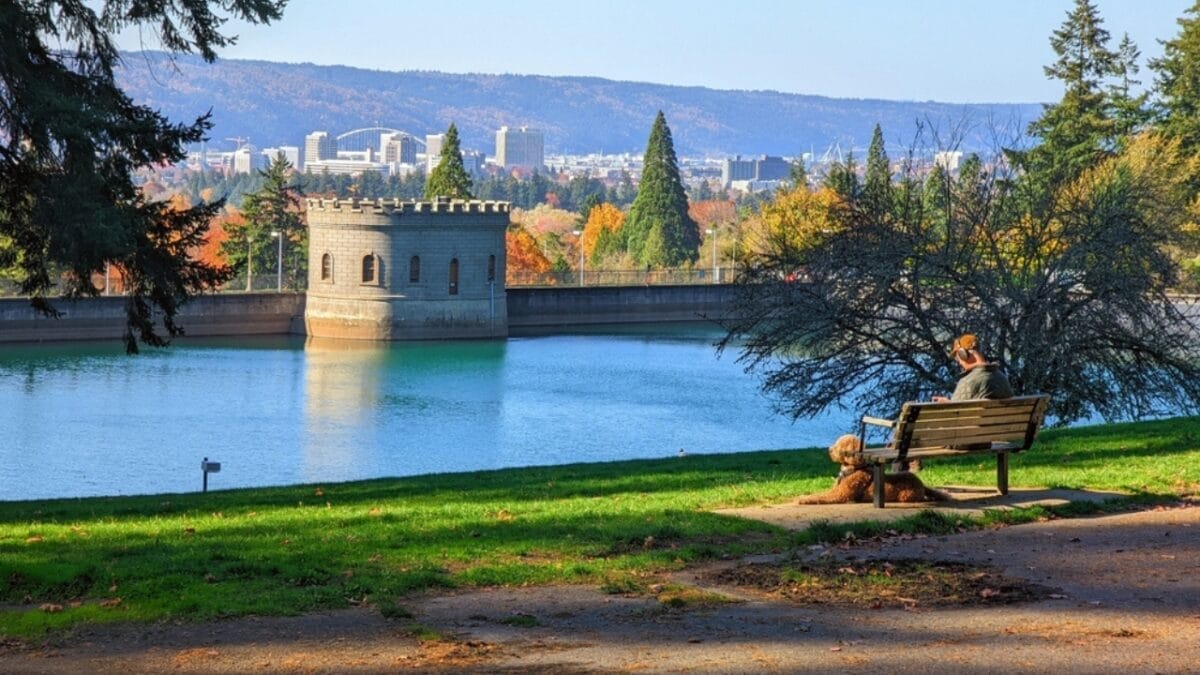 13 U.S. States Where Wolves Still Roam Wild & Free 10 13 U.S. States Where Wolves Still Roam Wild & Free - portland oregon ss2071448183