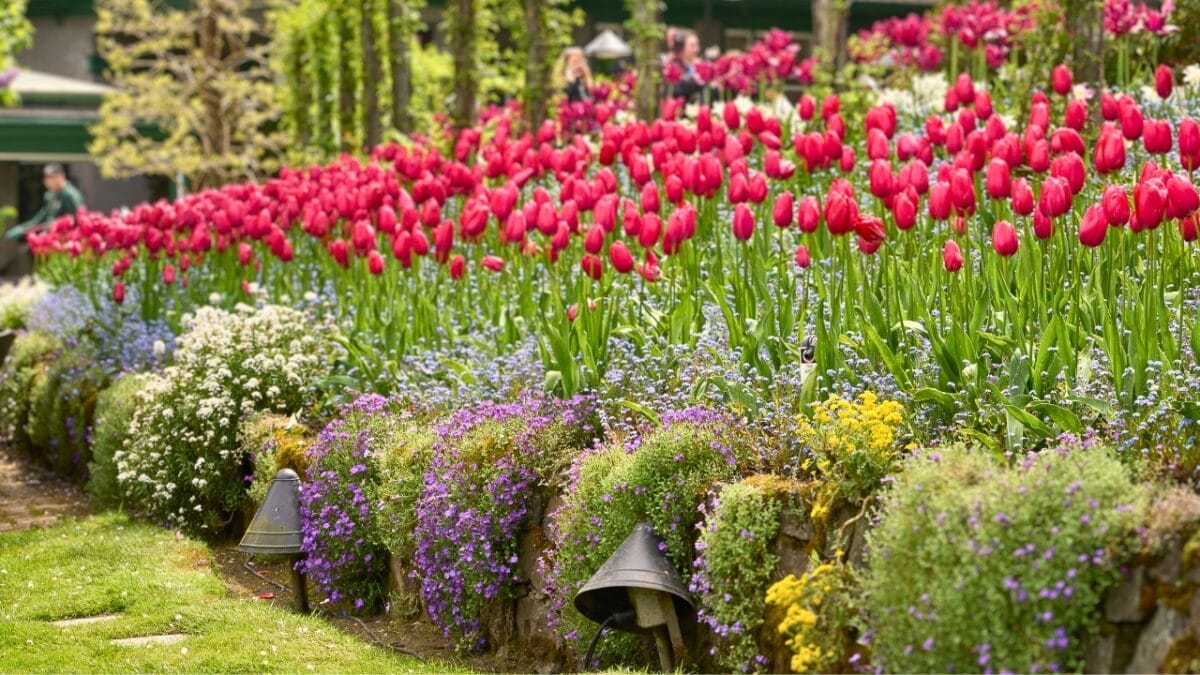 Zen & the Art of Rock Placement: 21 Tranquil Boulder Landscaping Ideas 8 Zen & the Art of Rock Placement: 21 Tranquil Boulder Landscaping Ideas - retaining wall rock ss2464499283