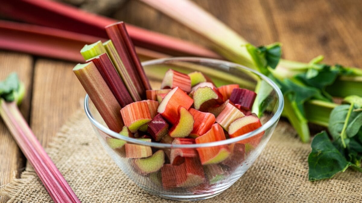 Rhubarb: An Ancient Herb Worth Growing – Here's How to Do It 12 Rhubarb: An Ancient Herb Worth Growing – Here's How to Do It - rhubarb in plate dp423919702