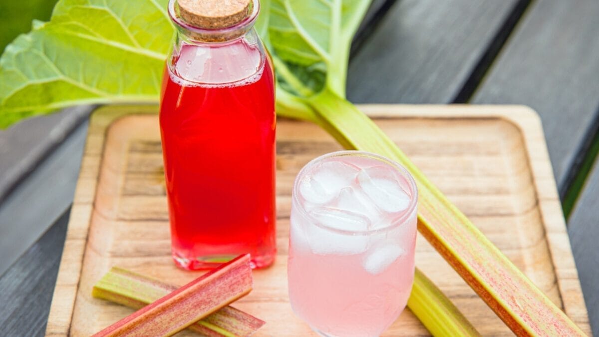 Rhubarb: An Ancient Herb Worth Growing – Here's How to Do It 15 Rhubarb: An Ancient Herb Worth Growing – Here's How to Do It - rhubarb syrup dp476908794