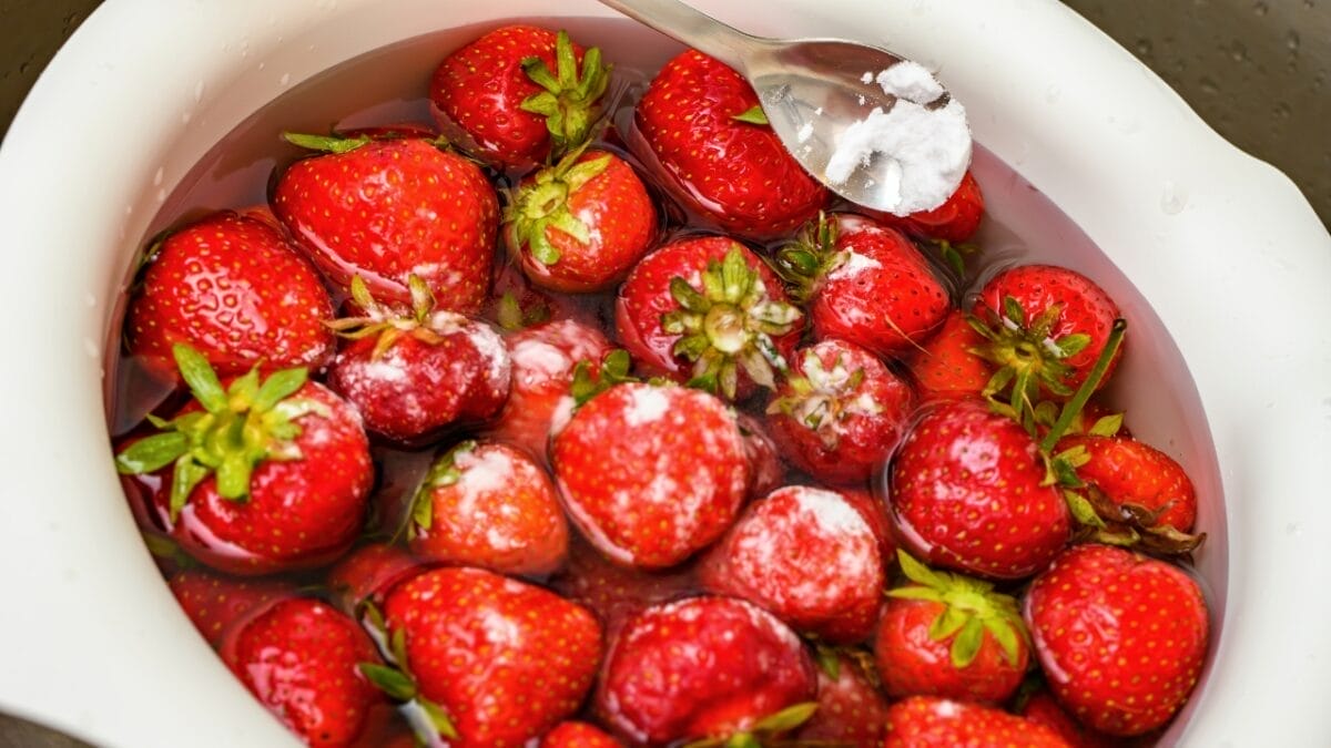 Yes, There Are Bugs in Strawberries— 7 Tips for Safe Removal 4 Yes, There Are Bugs in Strawberries— 7 Tips for Safe Removal - rinsing strawberries ss2314987355 2