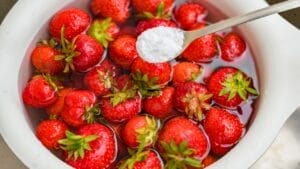 Yes, There Are Bugs in Strawberries— 7 Tips for Safe Removal 1 Yes, There Are Bugs in Strawberries— 7 Tips for Safe Removal - rinsing strawberries ss2314987355