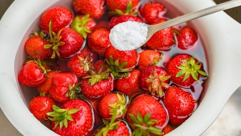 Yes, There Are Bugs in Strawberries— 7 Tips for Safe Removal 5 Yes, There Are Bugs in Strawberries— 7 Tips for Safe Removal - rinsing strawberries ss2314987355