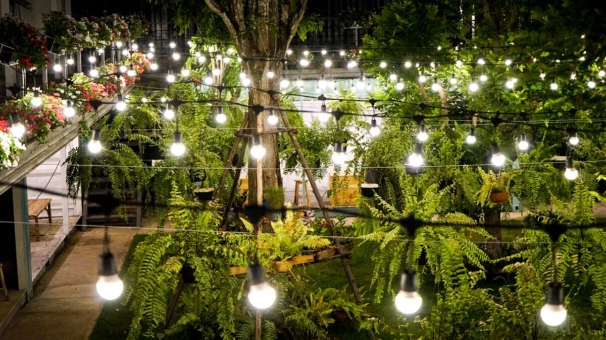 14 Easy & Creative DIY Ideas for a Beautiful Yard 15 14 Easy & Creative DIY Ideas for a Beautiful Yard - rope lightning dp245654872