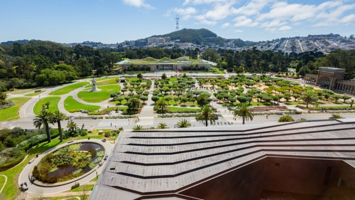 13 States Across America Where Tarantulas Might Surprise You 14 13 States Across America Where Tarantulas Might Surprise You - san francisco california ss2354445067