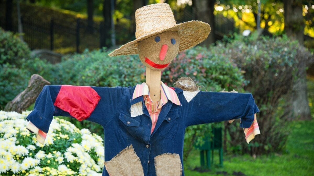 4 Simple Solutions to Protect Your Vegetable Garden from Birds 2 4 Simple Solutions to Protect Your Vegetable Garden from Birds - scarecrow ss269205995