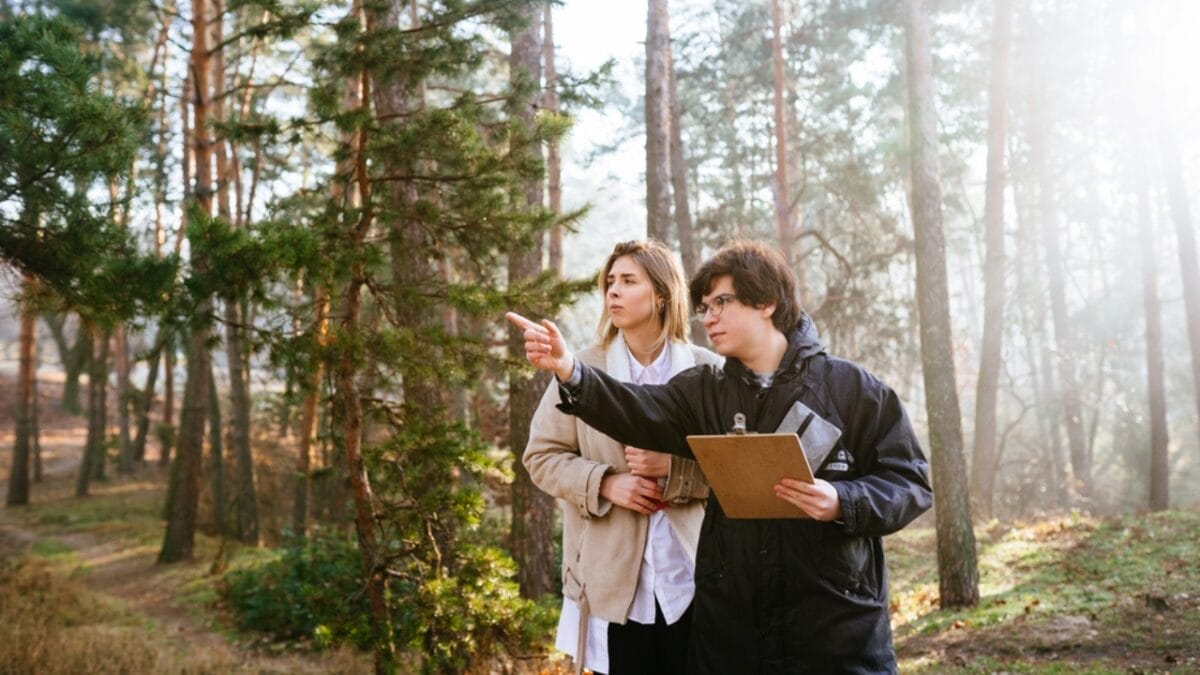 Climate Models Fall Short as Plants Absorb 31% More Carbon Than Expected 6 Climate Models Fall Short as Plants Absorb 31% More Carbon Than Expected - scientist in forest dp364692416