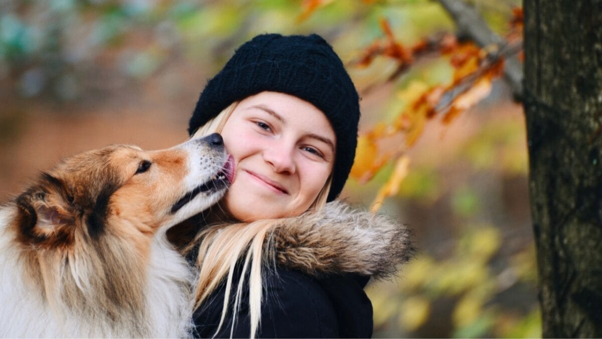 Shetland Sheepdogs: 6 Things Only a Few Owners Usually Know 4 Shetland Sheepdogs: 6 Things Only a Few Owners Usually Know - shetland sheepdog kissing child face ss1930149596