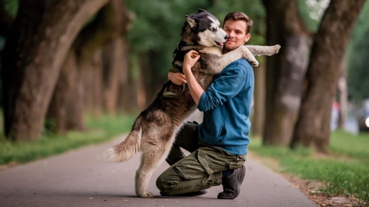 18 Loyal Dog Breeds That Will Never Leave Your Side 10 18 Loyal Dog Breeds That Will Never Leave Your Side - siberian husky friendly ss2281245357