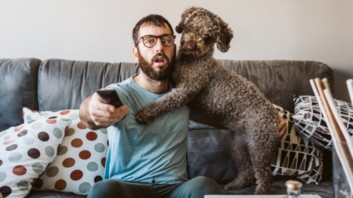 10 Things You Should Know Before Getting a Spanish Water Dog 6 10 Things You Should Know Before Getting a Spanish Water Dog - spanish water dog with owner ss1278388651