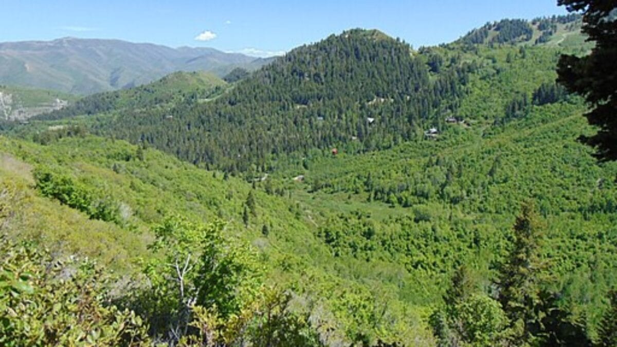 35 Dog Walking Trails That Prove USA Is a Dog's Paradise 34 35 Dog Walking Trails That Prove USA Is a Dog's Paradise - stewarts cascades trail utah wc