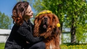 9 Popular Dog Breed Names & Their Interesting Backstories 1 9 Popular Dog Breed Names & Their Interesting Backstories - tibetan mastiff with owner ss2164374183