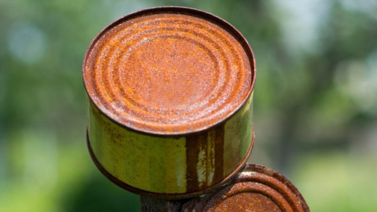 12 Weird But Effective Ways to Turn Your Garden into a Deer-Free Zone 3 12 Weird But Effective Ways to Turn Your Garden into a Deer-Free Zone - tin can in garden dp11926937