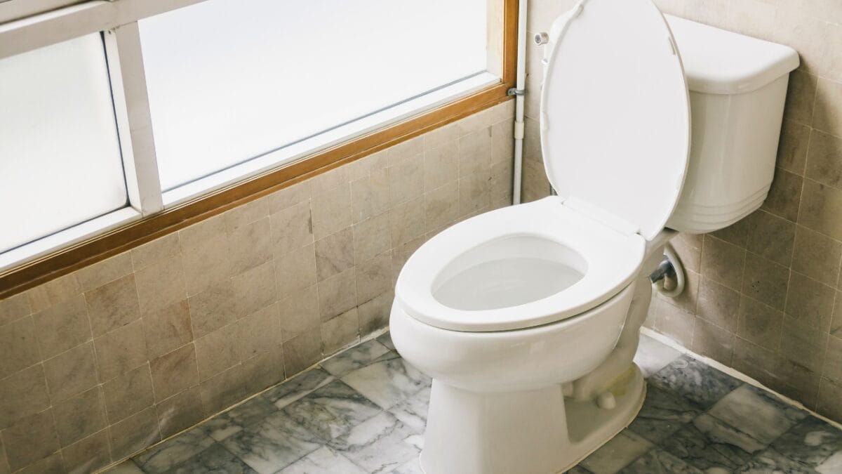 34 Mistakes to Avoid if You Want to Sell Your House 20 34 Mistakes to Avoid if You Want to Sell Your House - toilet seat dp178756860