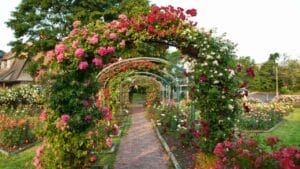 15 Garden Plants That Can Last a Lifetime 1 15 Garden Plants That Can Last a Lifetime - trellis garden dp27307119