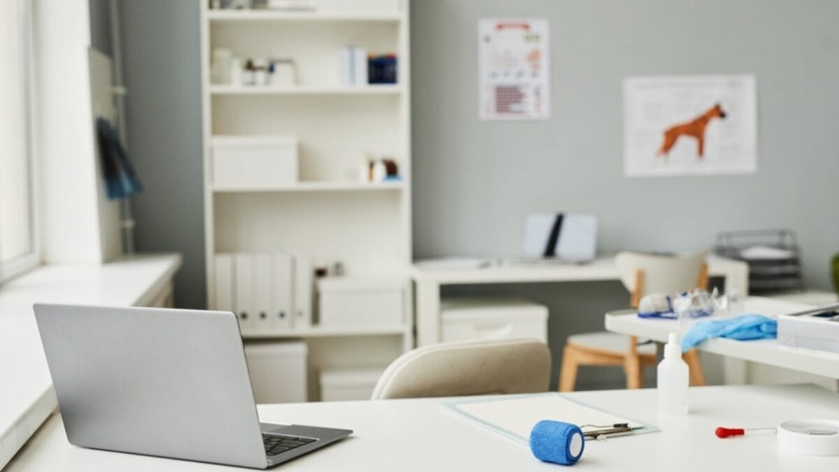 10 Dapper Traits That Make the Standard Schnauzer Breed Truly Unique 9 10 Dapper Traits That Make the Standard Schnauzer Breed Truly Unique - veterinary clinic ss2122757786