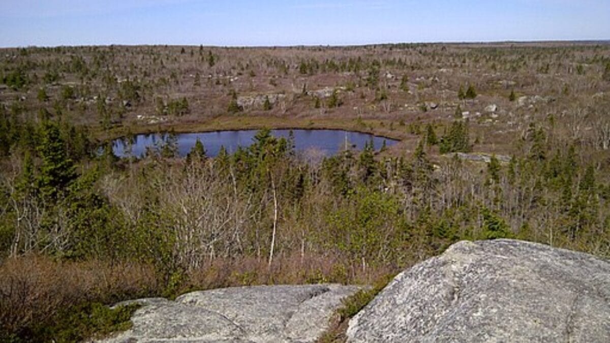 35 Dog Walking Trails That Prove USA Is a Dog's Paradise 29 35 Dog Walking Trails That Prove USA Is a Dog's Paradise - west bluff trail wc