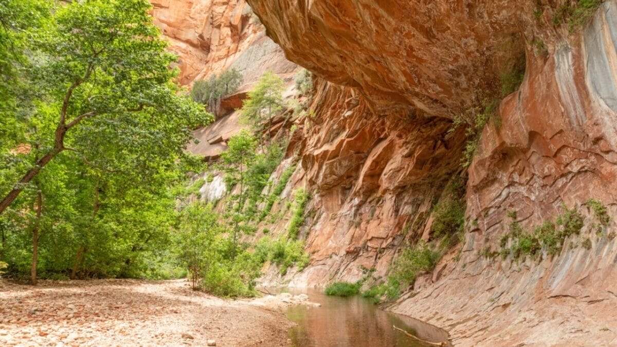 35 Dog Walking Trails That Prove USA Is a Dog's Paradise 23 35 Dog Walking Trails That Prove USA Is a Dog's Paradise - west fork of oak creek trail ss2474199399