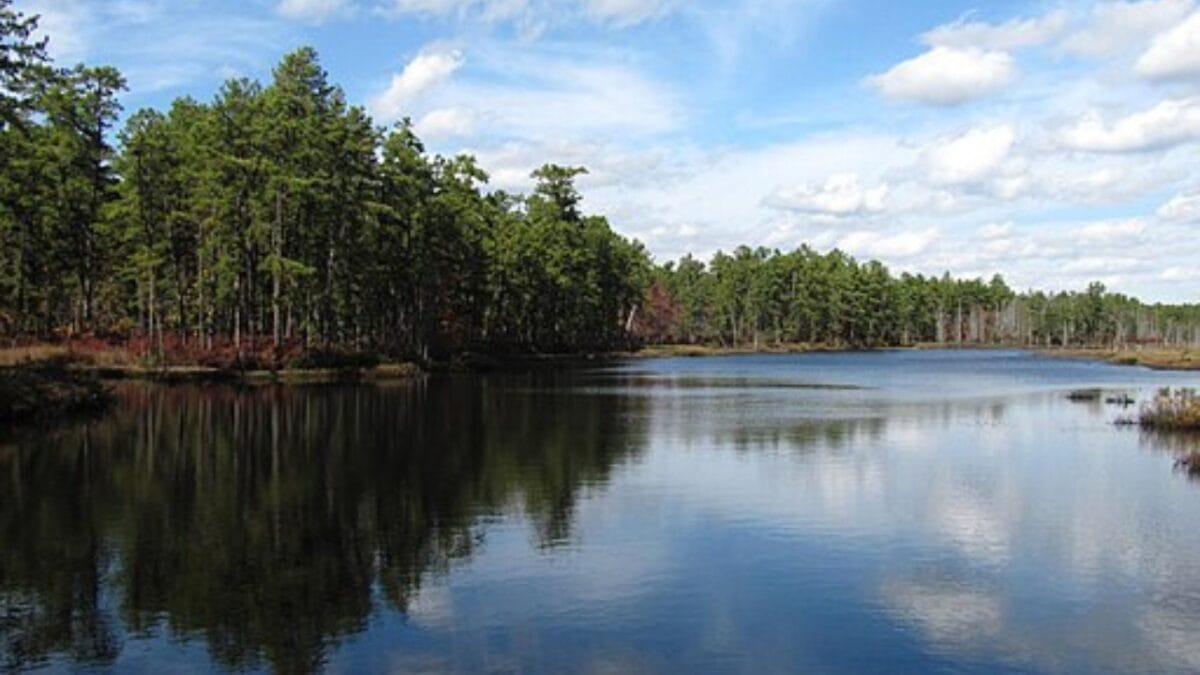 The Most Isolated, Off-the-Grid Spots in Each U.S. State You’ll Want to Visit 31 The Most Isolated, Off-the-Grid Spots in Each U.S. State You’ll Want to Visit - wharton state forest wc