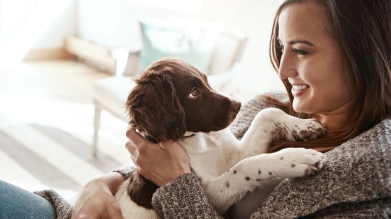 10 Cute Dog Breeds That Will Melt Your Heart 3 10 Cute Dog Breeds That Will Melt Your Heart - woman cute puppy dog ss2472679993