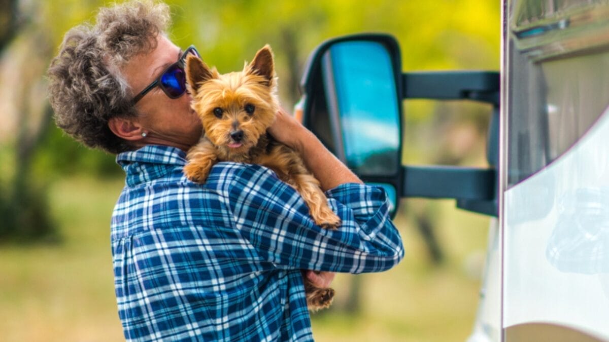 10 Shimmering Qualities That Set the Silky Terrier Dog Breed Apart 4 10 Shimmering Qualities That Set the Silky Terrier Dog Breed Apart - woman hugging silky terrier dog ss1533115100