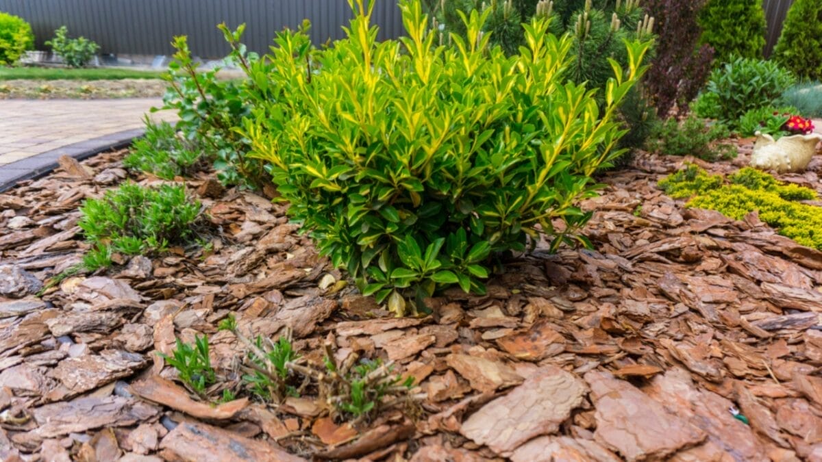 20 Ways to Use Wood Chips in Your Garden & Homestead 4 20 Ways to Use Wood Chips in Your Garden & Homestead - wood chip composting dp366674856