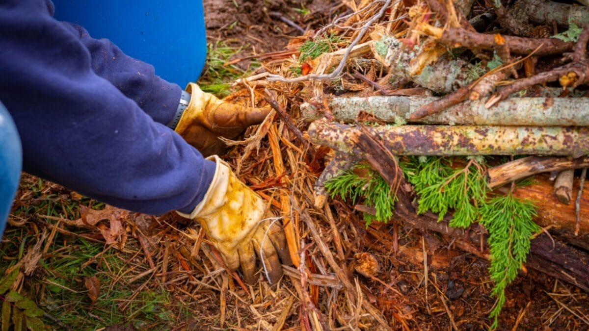 20 Ways to Use Wood Chips in Your Garden & Homestead 13 20 Ways to Use Wood Chips in Your Garden & Homestead - wood chip hugelkutur bed ss1862141365