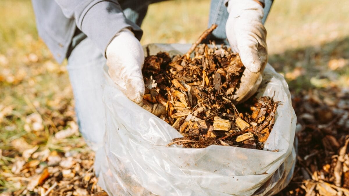 10 Strategies for Building a Water-Saving Drought-Proof Garden 5 10 Strategies for Building a Water-Saving Drought-Proof Garden - wood chip mulching dp575299722