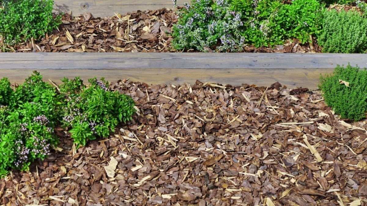 20 Ways to Use Wood Chips in Your Garden & Homestead 6 20 Ways to Use Wood Chips in Your Garden & Homestead - wood chip soil erosion dp471899206