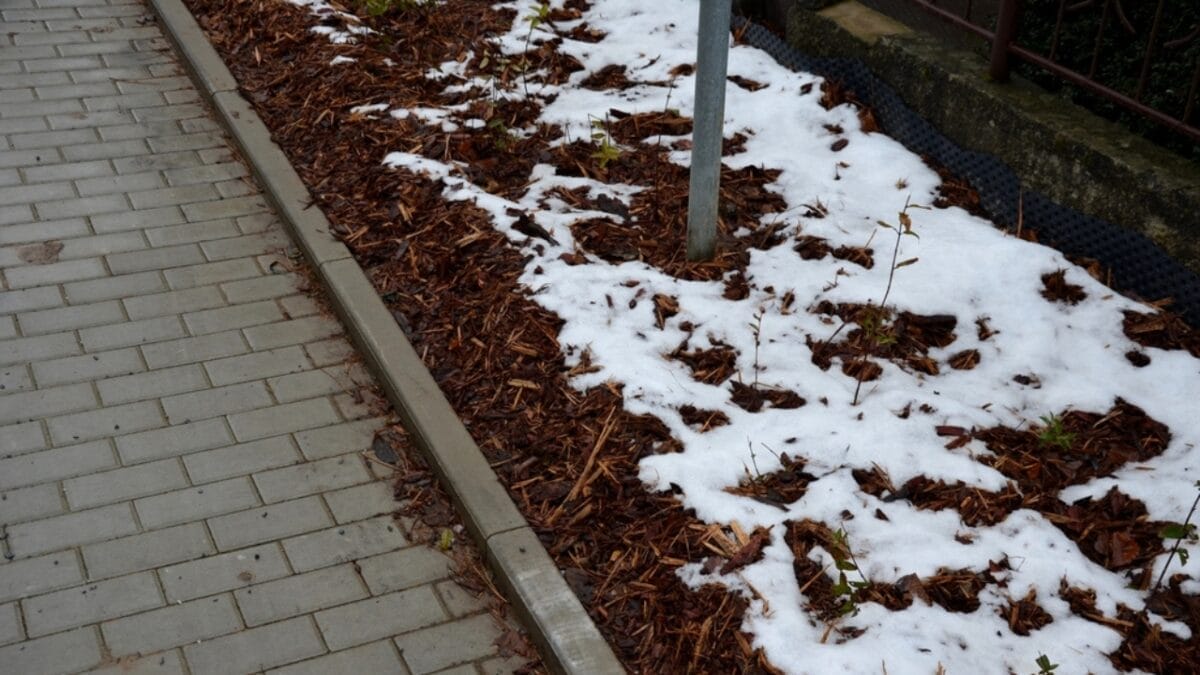 20 Ways to Use Wood Chips in Your Garden & Homestead 9 20 Ways to Use Wood Chips in Your Garden & Homestead - wood chip winter ss2091839386