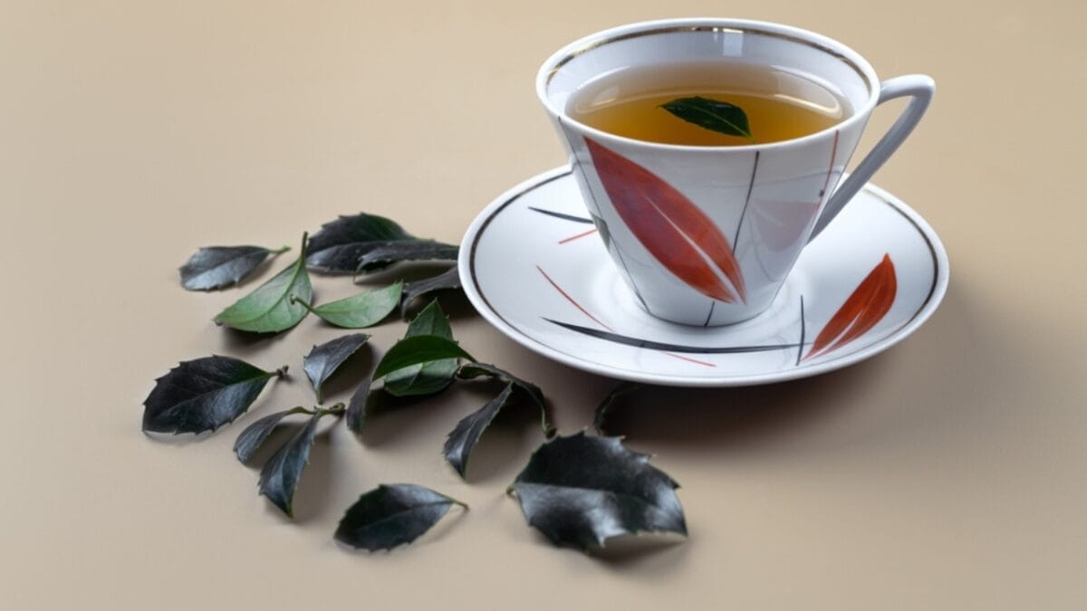 14 Energizing Coffee Alternatives to Jumpstart Your Day - yaupon tea ss2231620779