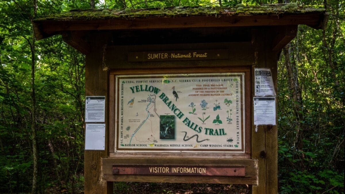 35 Dog Walking Trails That Prove USA Is a Dog's Paradise 4 35 Dog Walking Trails That Prove USA Is a Dog's Paradise - yellow branch falls trail ss2464528919